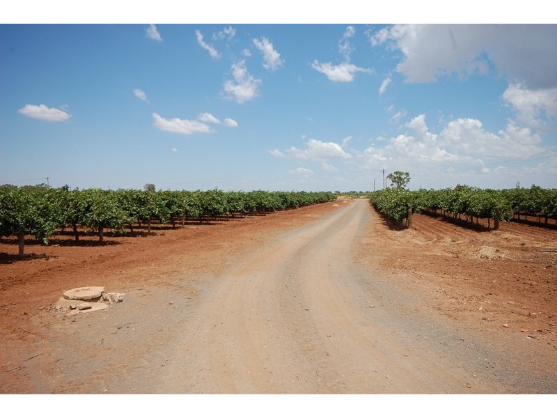 Farm 1919 Barracks Road, Yenda NSW 2681