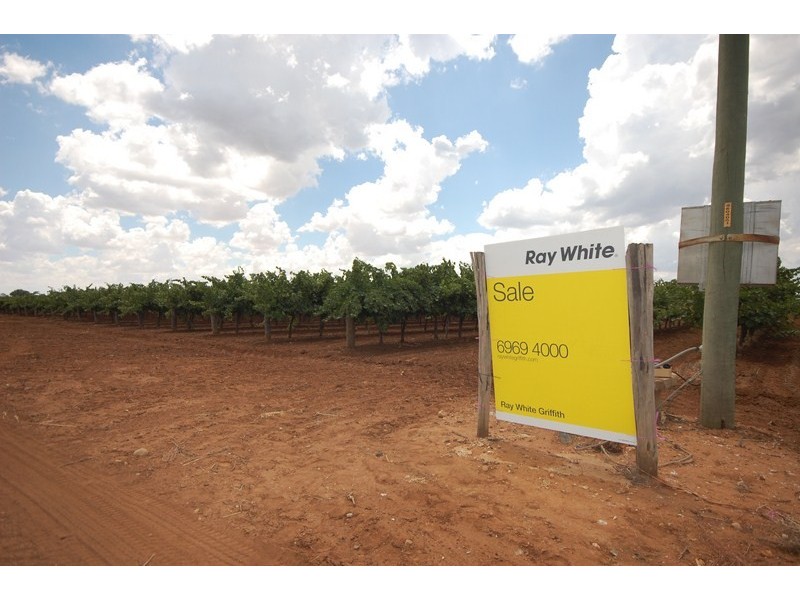 Farm 1919 Barracks Road, Yenda NSW 2681