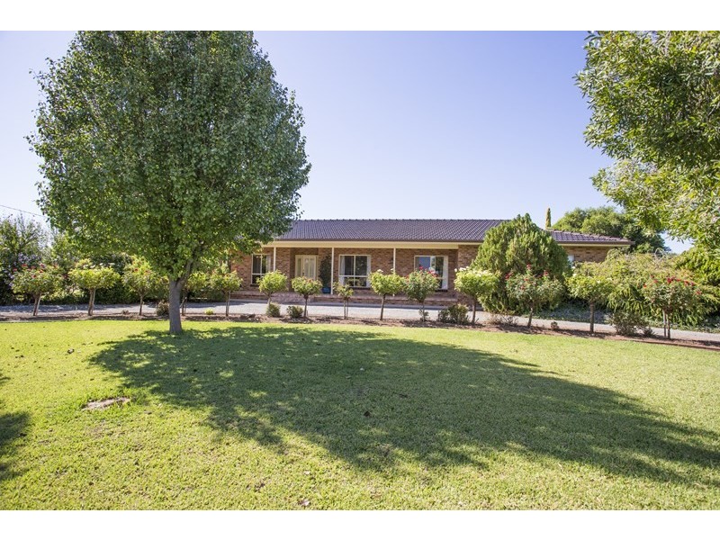 Farm 2564 Murray Road, Yoogali NSW 2680
