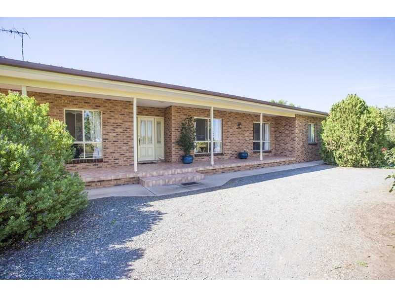 Farm 2564 Murray Road, Yoogali NSW 2680