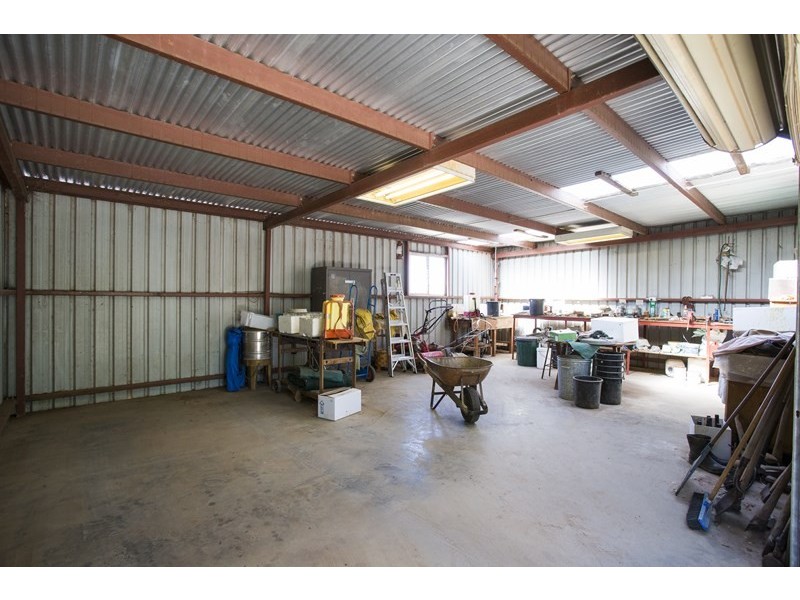 Farm 2564 Murray Road, Yoogali NSW 2680