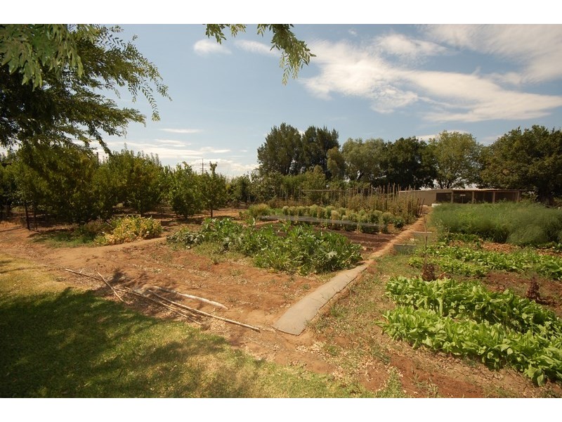 Farm 2564 Murray Road, Yoogali NSW 2680