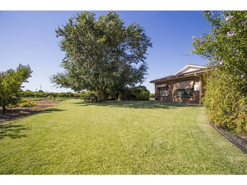 Farm 2564 Murray Road, Yoogali NSW 2680