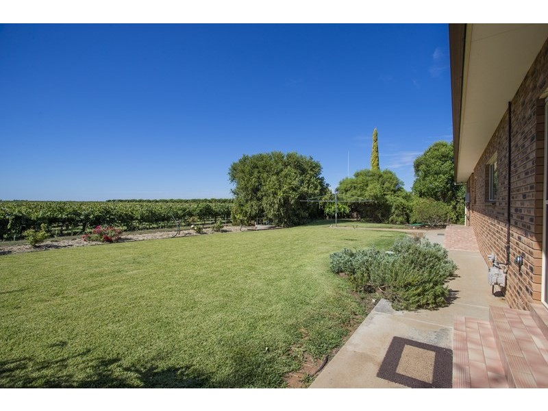 Farm 2564 Murray Road, Yoogali NSW 2680