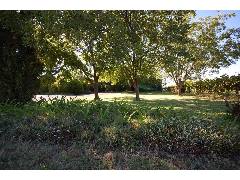 Farm 2564 Murray Road, Yoogali NSW 2680