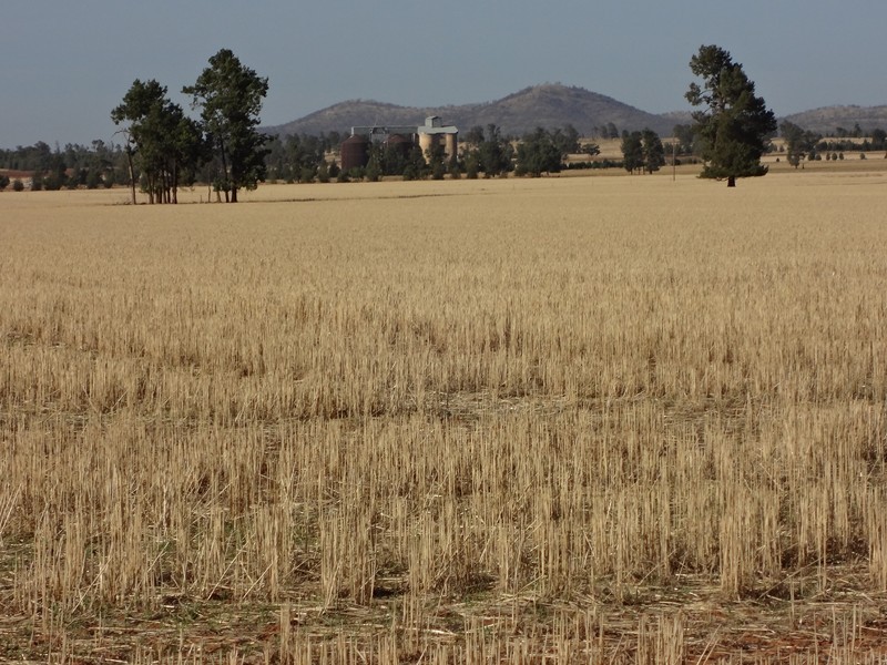 ‘BURALYANG’ Lewes Rd and Sandy Creek Rd, Tallimba NSW 2669