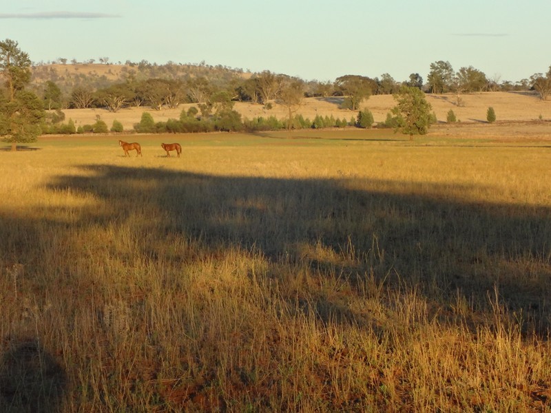 ‘BURALYANG’ Lewes Rd and Sandy Creek Rd, Tallimba NSW 2669