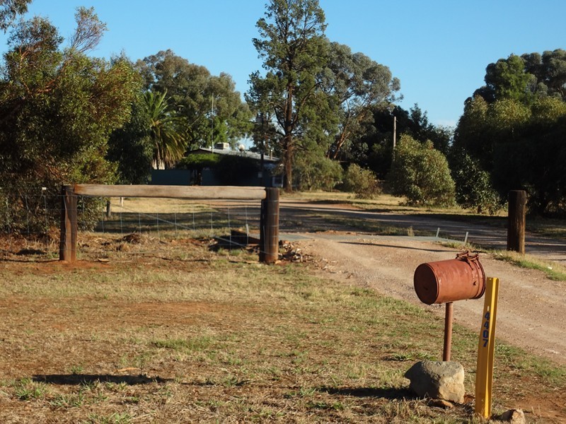 ‘BURALYANG’ Lewes Rd and Sandy Creek Rd, Tallimba NSW 2669