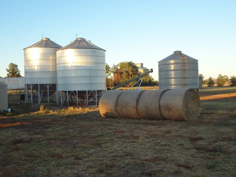 ‘BURALYANG’ Lewes Rd and Sandy Creek Rd, Tallimba NSW 2669