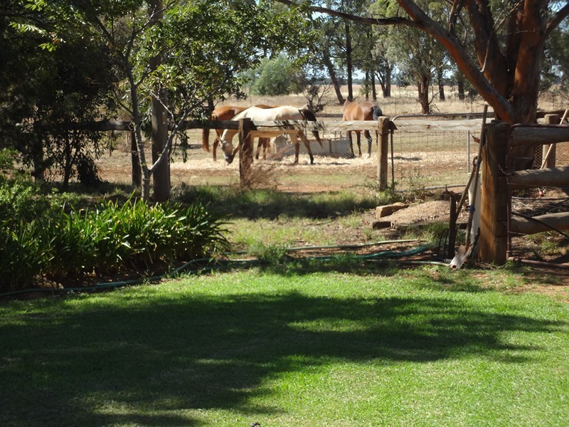 ‘BURALYANG’ Lewes Rd and Sandy Creek Rd, Tallimba NSW 2669