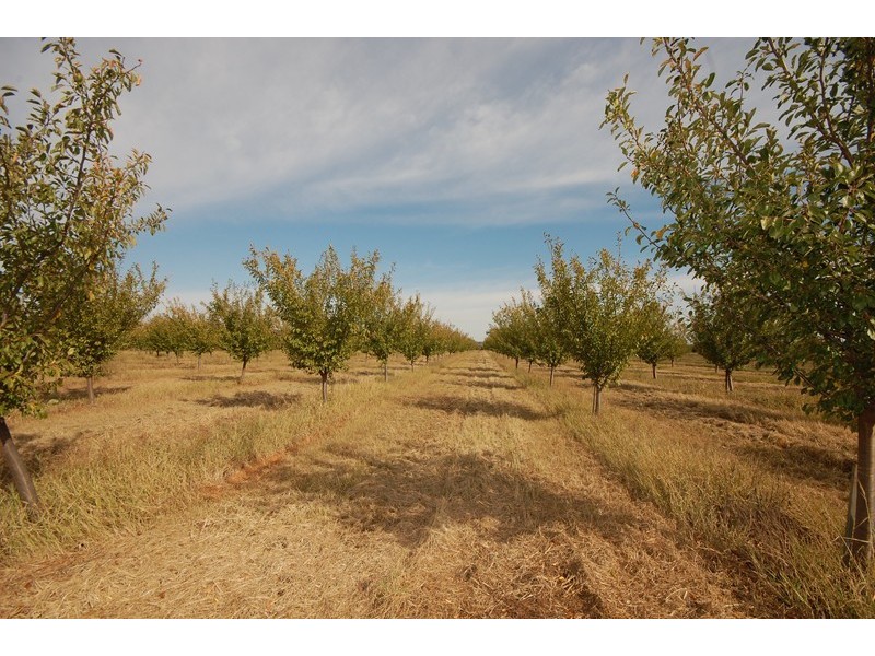 Farm 514 Sanders Road, Bilbul NSW 2680