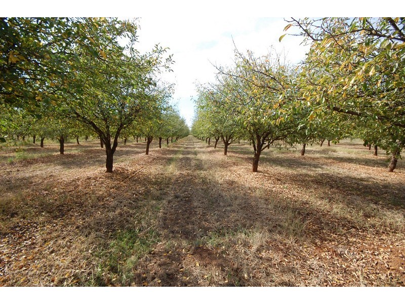 Farm 514 Sanders Road, Bilbul NSW 2680