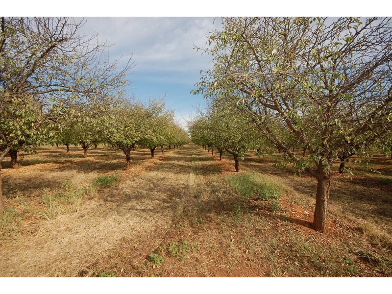 Farm 514 Sanders Road, Bilbul NSW 2680