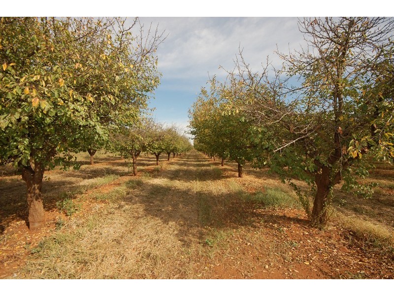 Farm 514 Sanders Road, Bilbul NSW 2680