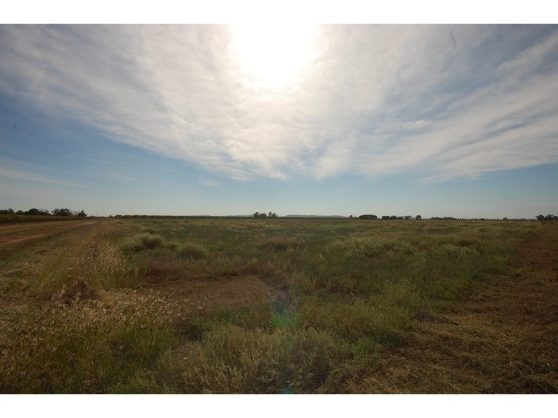 Farm 263 Bilbul/Gormans Rd, Bilbul NSW 2680