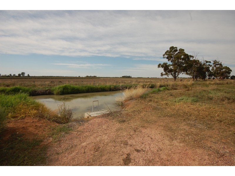 Farm 263 Bilbul/Gormans Rd, Bilbul NSW 2680