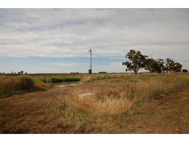 Farm 263 Bilbul/Gormans Rd, Bilbul NSW 2680