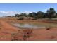 “IONA” Sandy Creek Road, Barellan NSW 2665