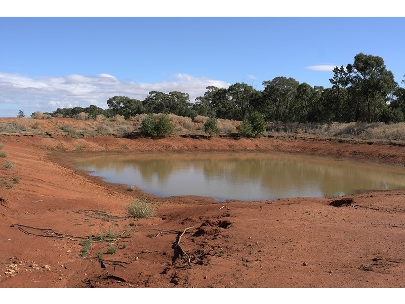“IONA” Sandy Creek Road, Barellan NSW 2665
