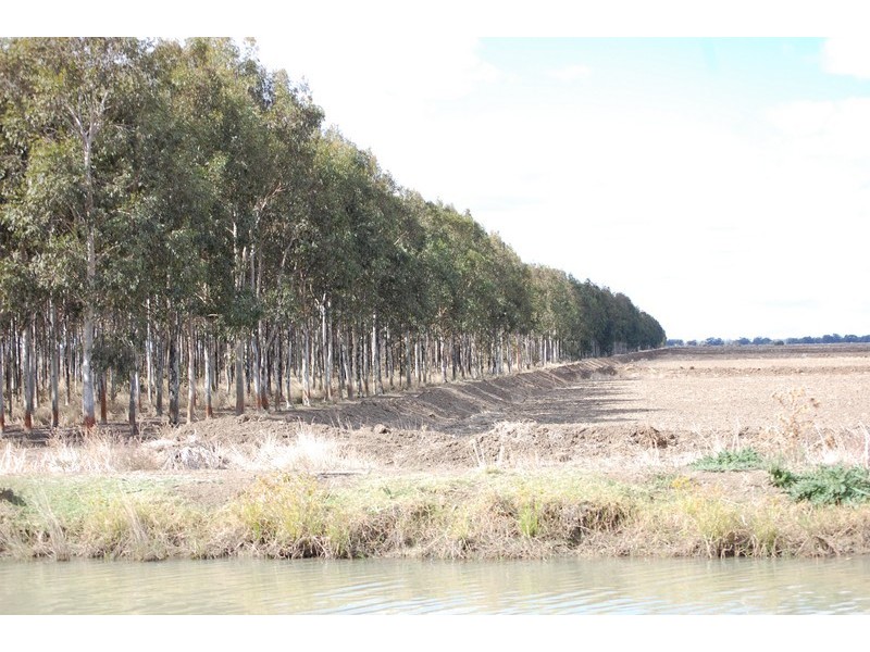 “KULAROO” Conargo Road, Jerilderie NSW 2716