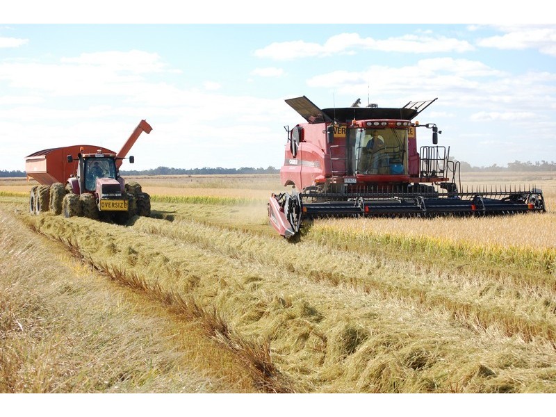 “KULAROO” Conargo Road, Jerilderie NSW 2716