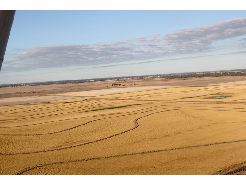 “KULAROO” Conargo Road, Jerilderie NSW 2716