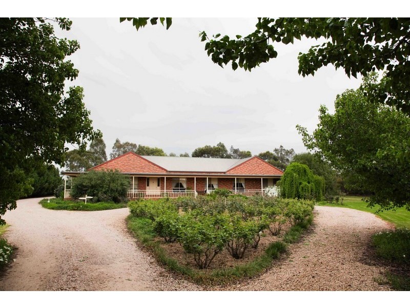 556 Condon Road, Bilbul NSW 2680