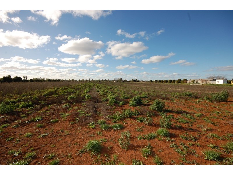 Farm 162 Crook Road, Hanwood NSW 2680