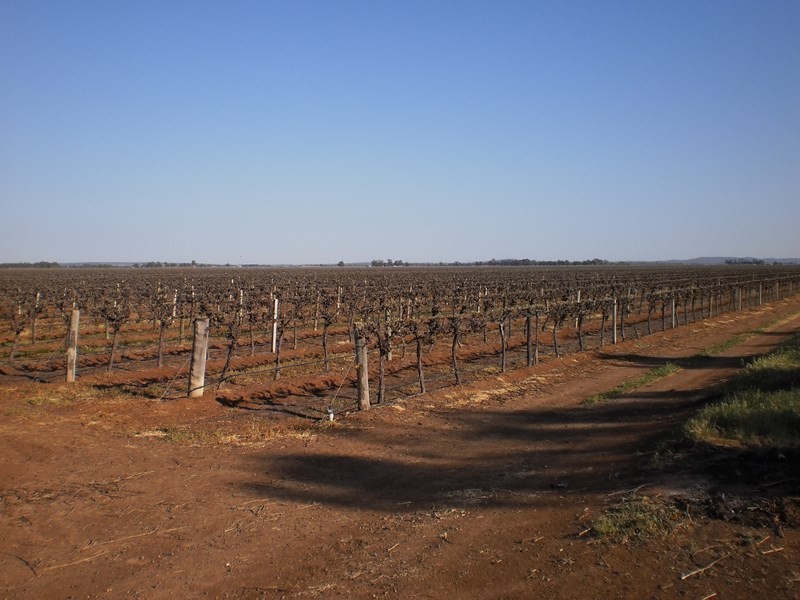 Farm 2627 Yenda, Yenda NSW 2681