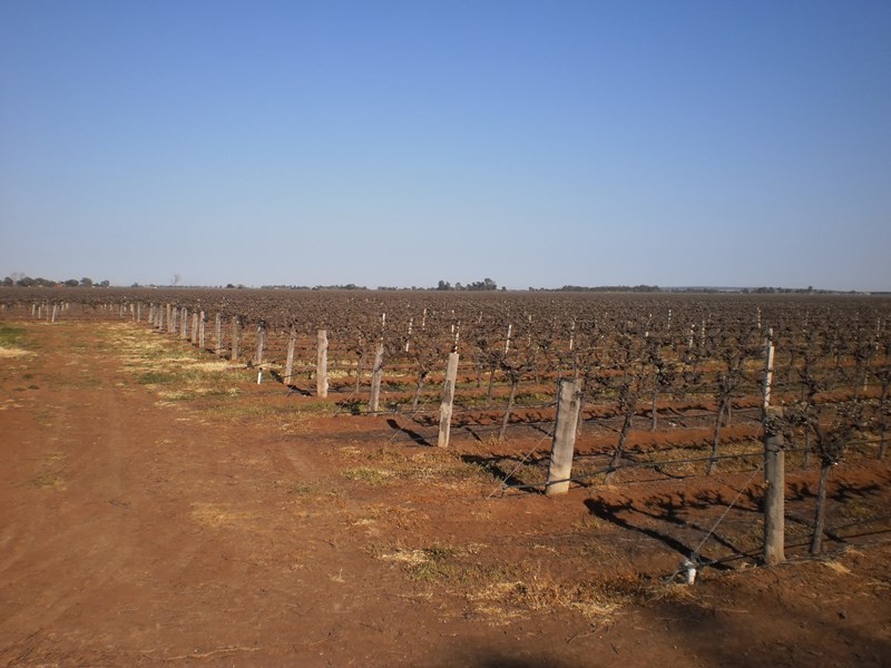 Farm 2627 Yenda, Yenda NSW 2681