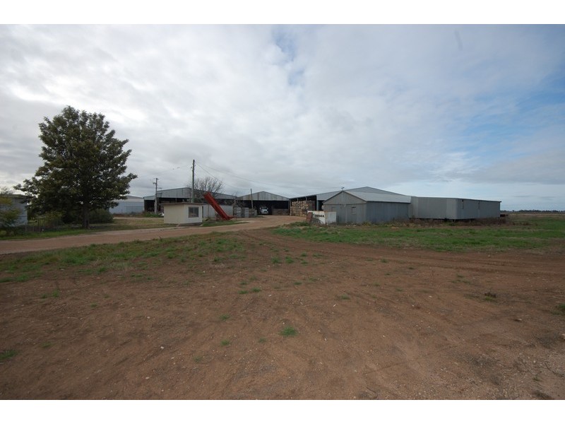 Farm 1063 Gum Creek Road, Hanwood NSW 2680