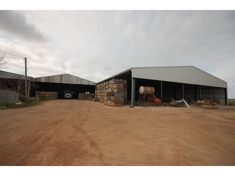 Farm 1063 Gum Creek Road, Hanwood NSW 2680