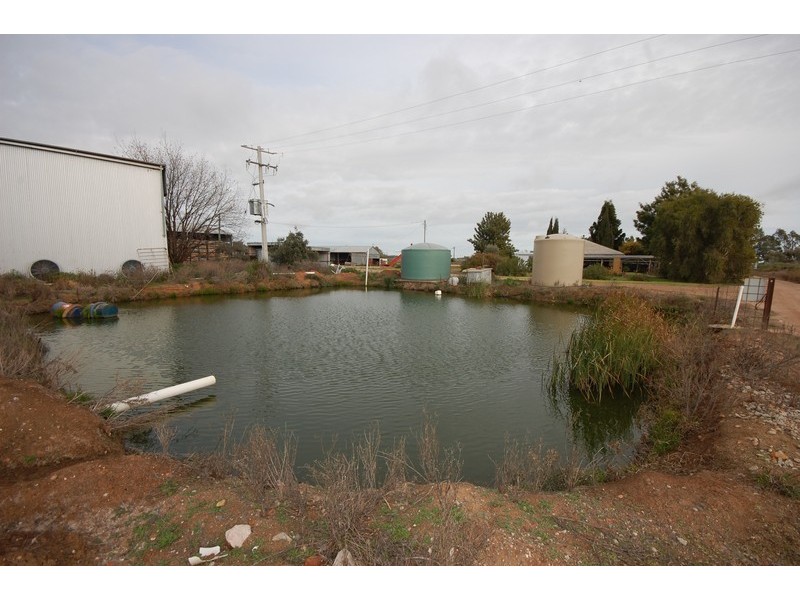 Farm 1063 Gum Creek Road, Hanwood NSW 2680