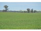 ‘LARAGH’ Strontian Road, Narrandera NSW 2700