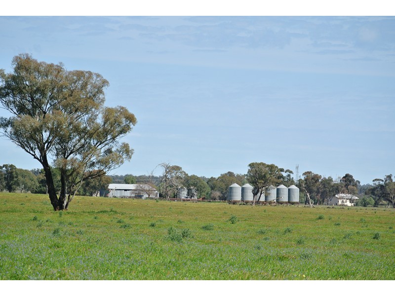 ‘LARAGH’ Strontian Road, Narrandera NSW 2700