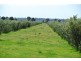 ‘LARAGH’ Strontian Road, Narrandera NSW 2700