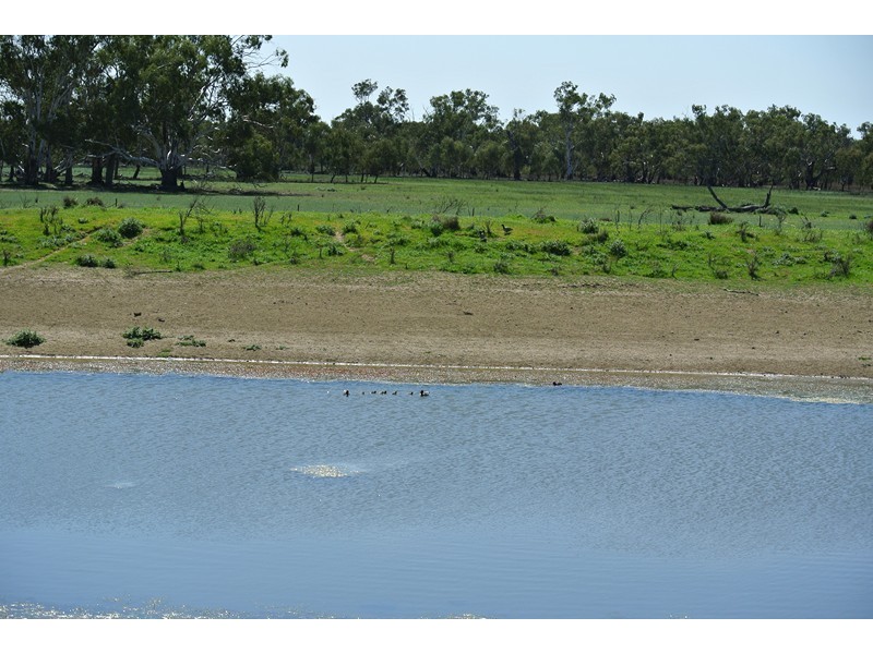 ‘LARAGH’ Strontian Road, Narrandera NSW 2700