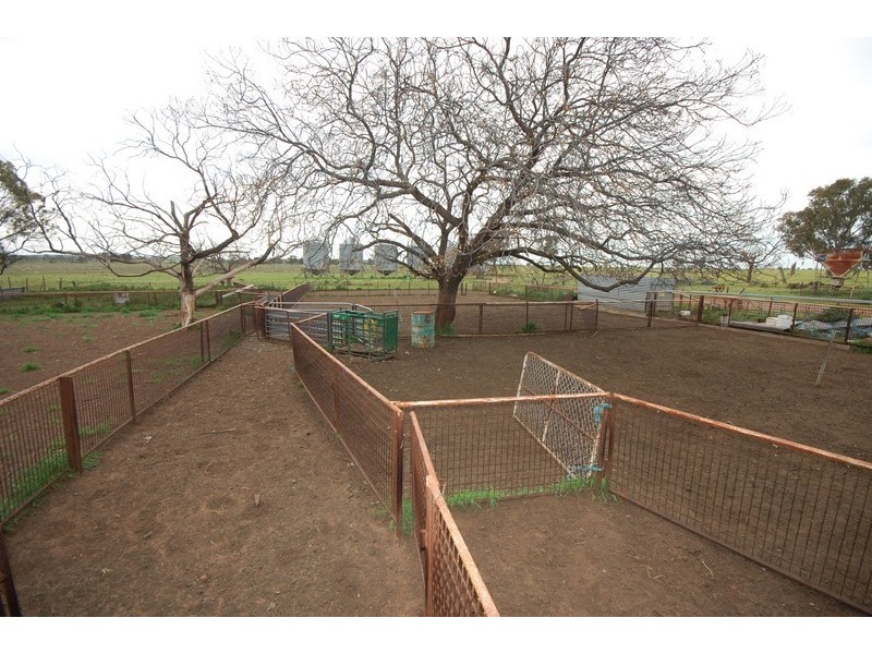 ‘LARAGH’ Strontian Road, Narrandera NSW 2700