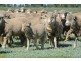 ‘LARAGH’ Strontian Road, Narrandera NSW 2700