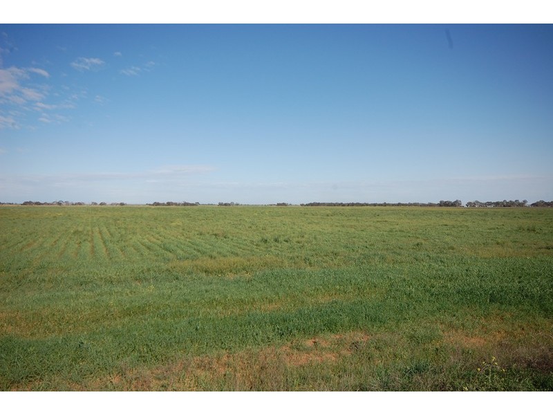 Farm 1054B Crawford Road, Hanwood NSW 2680