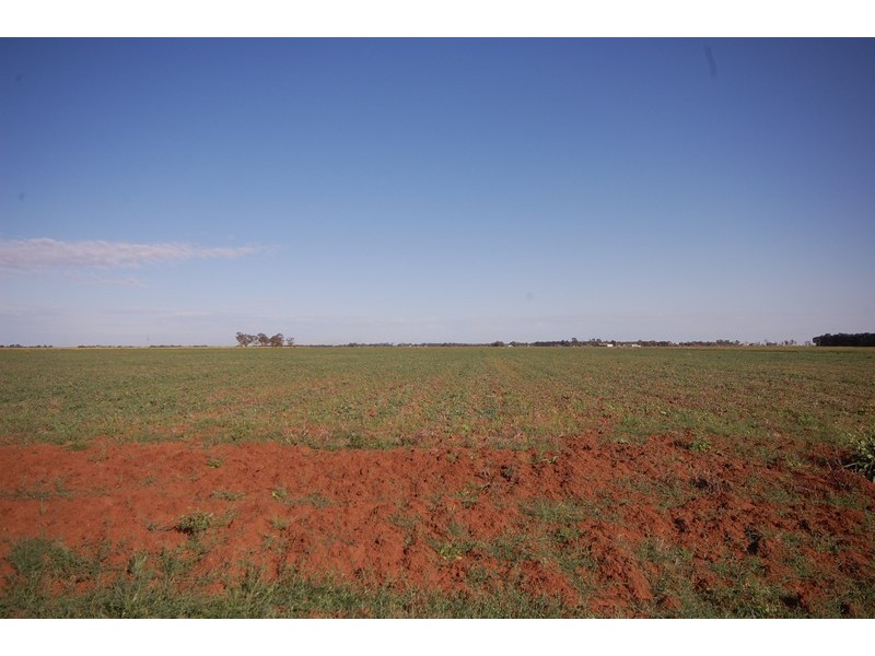 Farm 1054B Crawford Road, Hanwood NSW 2680