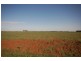 Farm 1054B Crawford Road, Hanwood NSW 2680