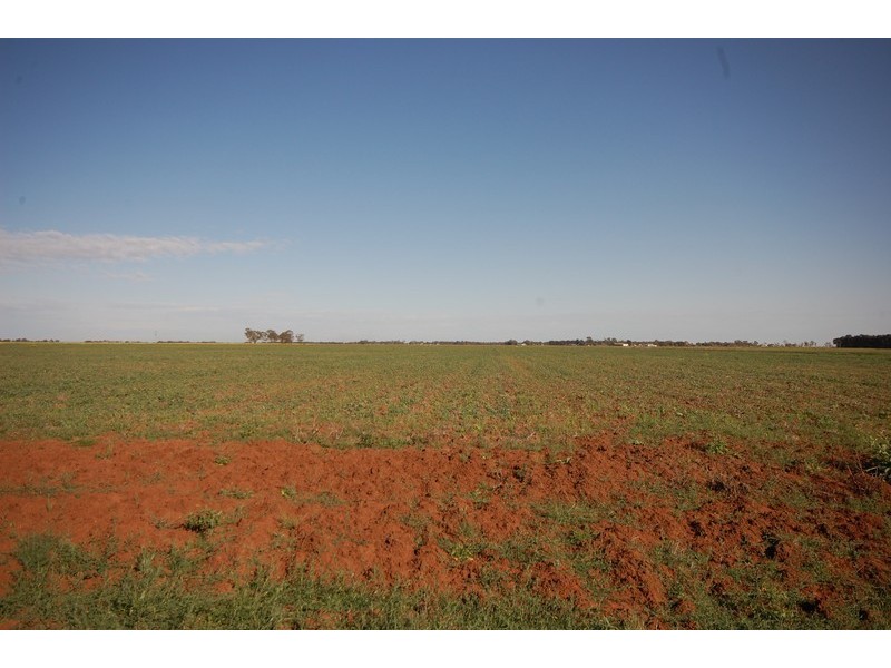 Farm 1054B Crawford Road, Hanwood NSW 2680
