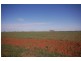 Farm 1054B Crawford Road, Hanwood NSW 2680