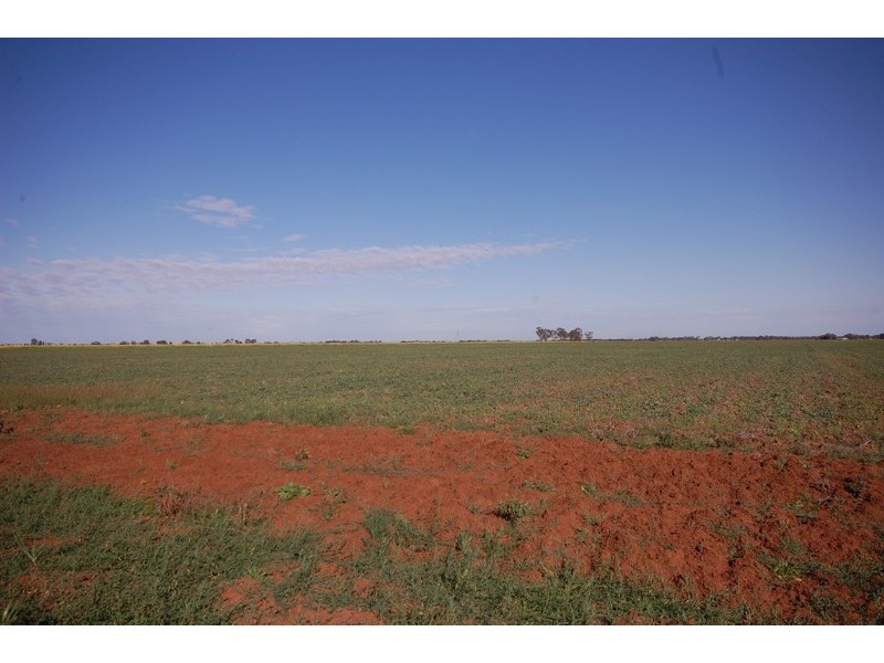 Farm 1054B Crawford Road, Hanwood NSW 2680