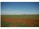 Farm 1054B Crawford Road, Hanwood NSW 2680