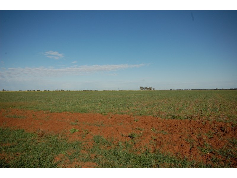Farm 1054B Crawford Road, Hanwood NSW 2680