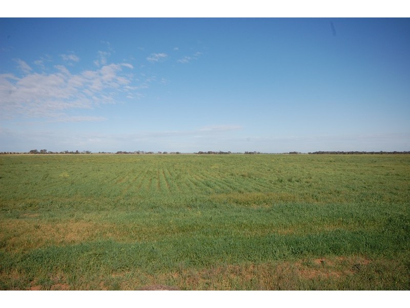Farm 1054B Crawford Road, Hanwood NSW 2680