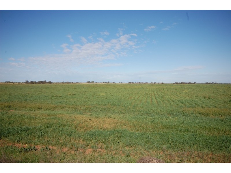 Farm 1054B Crawford Road, Hanwood NSW 2680