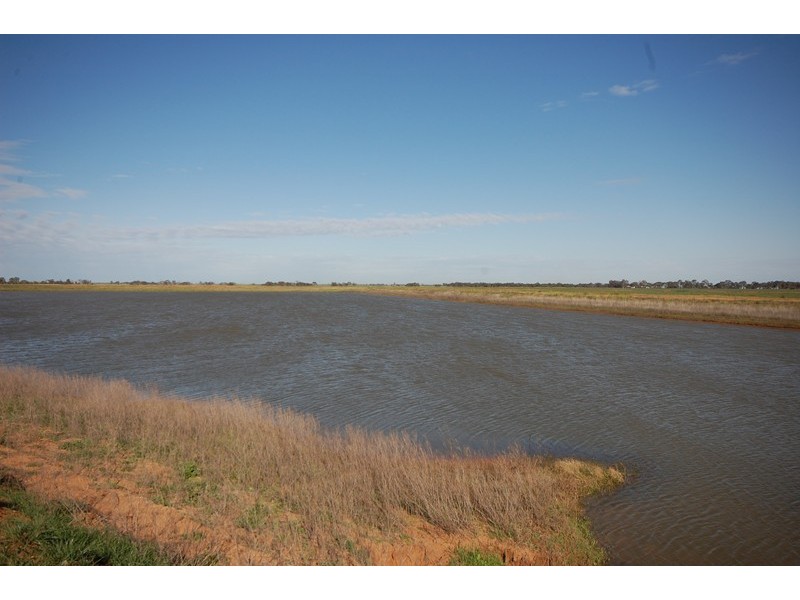 Farm 1060 Crawford Road, Hanwood NSW 2680